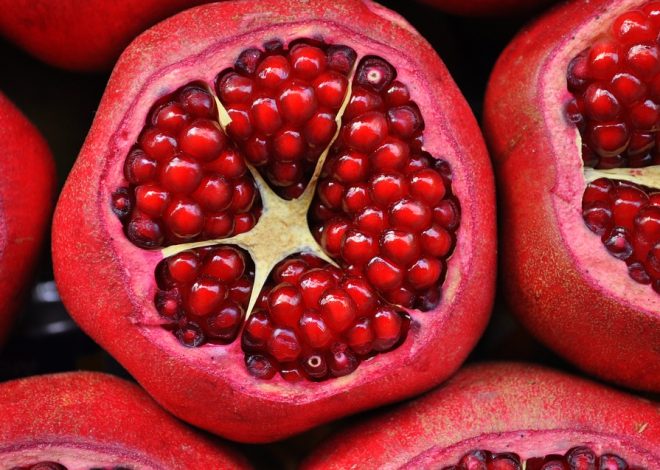 Harness Nature’s Power: Top 5 Plant Extracts for Beautiful Skin