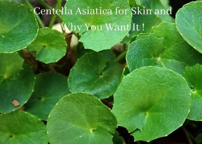 Centella Asiatica for Skin and Why You Want It!