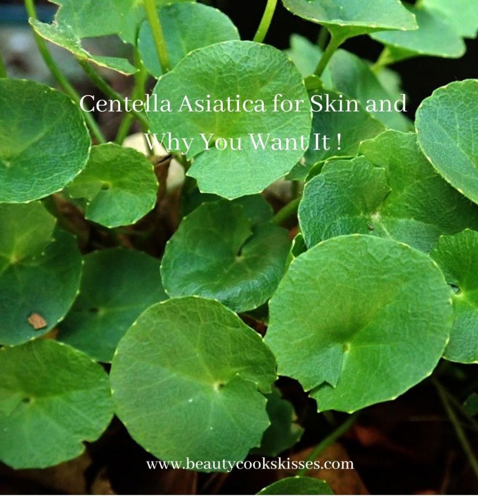Centella Asiatica for Skin and Why You Want It!