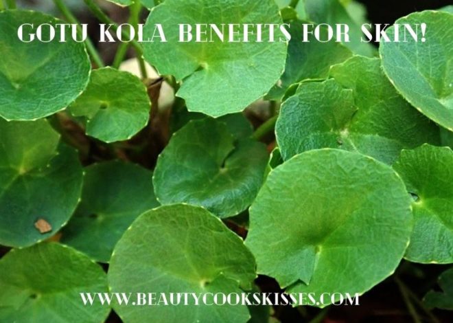 Gotu Kola Benefits for Skin Beauty