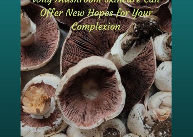 Why Mushroom Skincare Can Offer New Hopes for Your Complexion