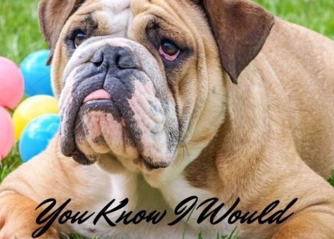 Sagging Skin Care Tips for Help in Looking Younger