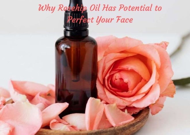 Why Rosehip Oil Has Potential to Perfect Your Face