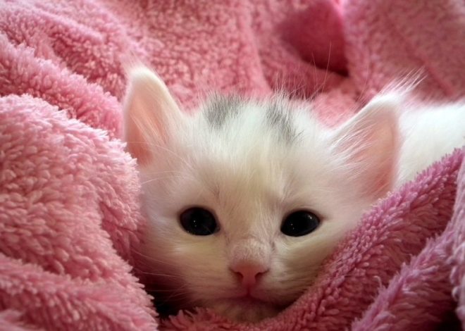 Reasons for Sensitive Skin That May Amaze You