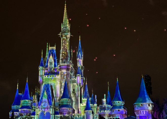 Our First Trip To Disney with Louie