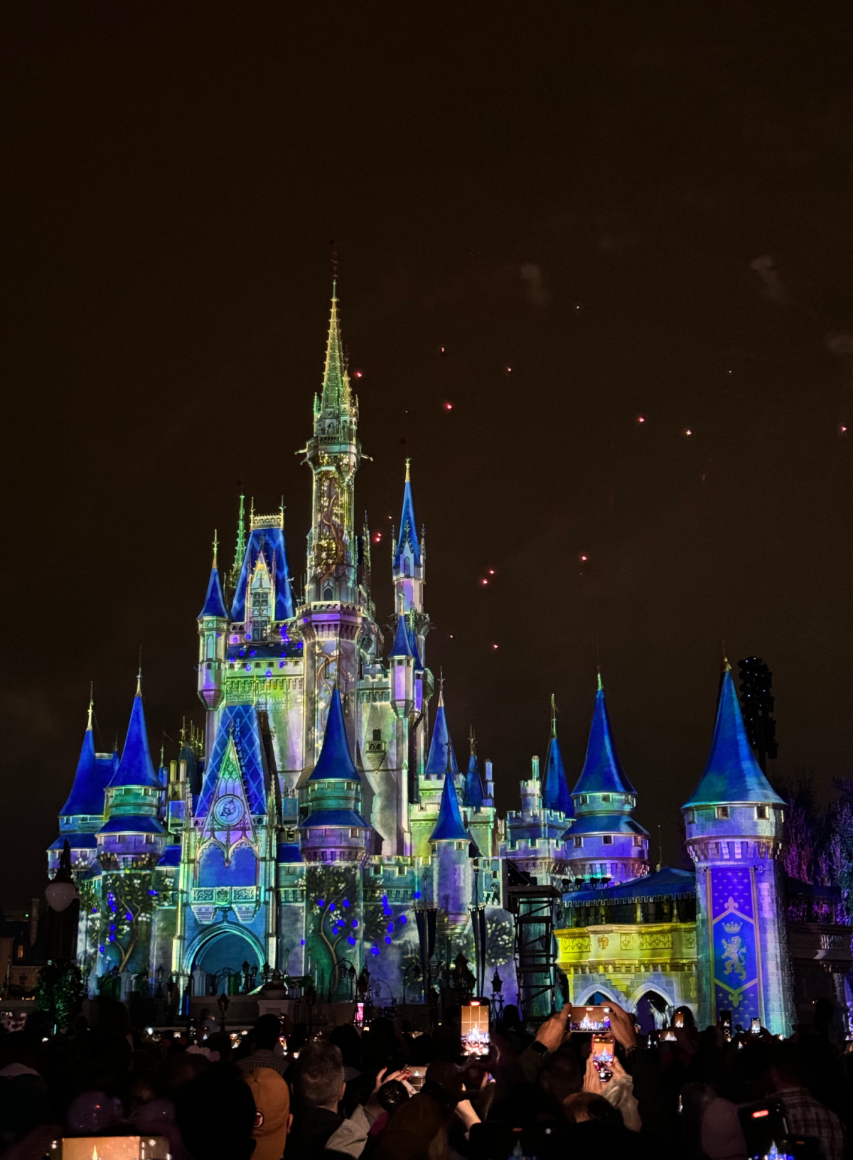 Our First Trip To Disney with Louie