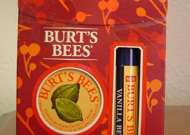 Review:  A Bit of Burt’s Bees Gift Set Makes an Inexpensive Holiday Stocking Stuffer!