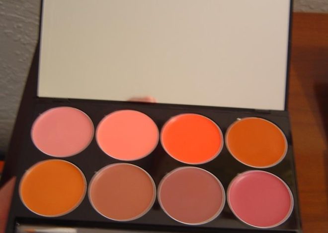 Review + SWATCHES:   Mehron L.I.P. Color Cream Day and Night Palettes