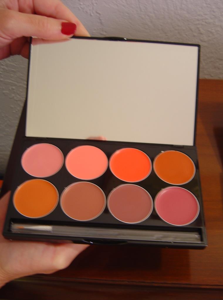 Review + SWATCHES:   Mehron L.I.P. Color Cream Day and Night Palettes