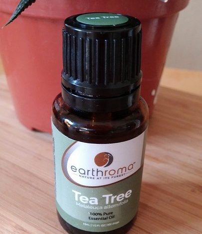 My DIY Ultra Nourishing Facial Mask Works Wonders