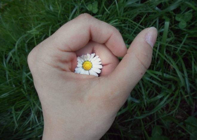 Understanding Changes in Your Nails